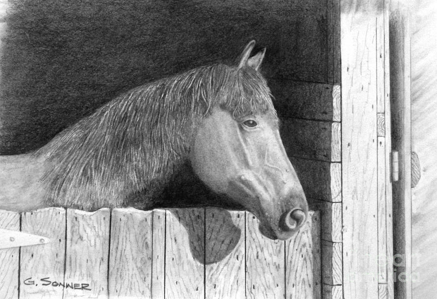 Dusty Drawing by George Sonner