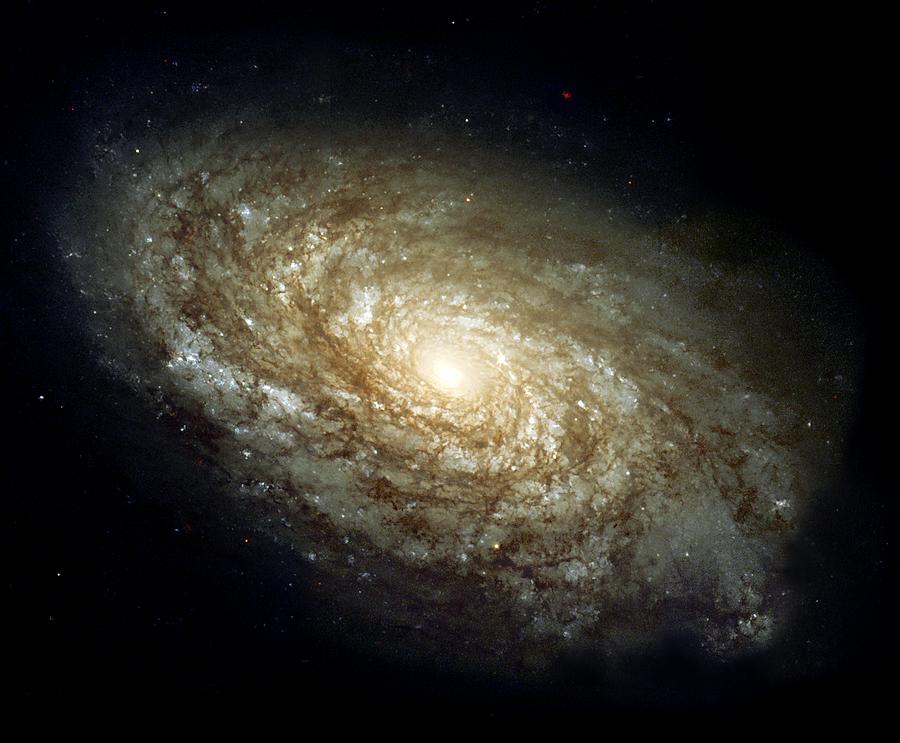 Dusty Spiral Galaxy  Painting by Hubble Space Telescope