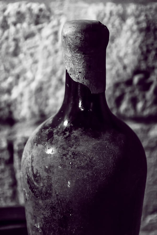 Dusty Vintage Wine Bottle Photograph by Georgia Clare