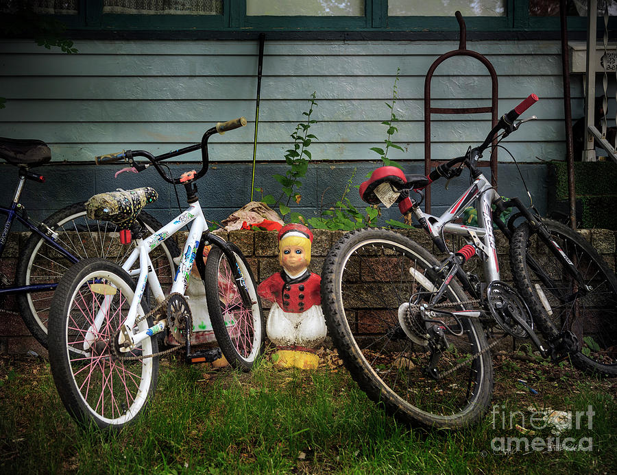 Dutch Boys Bicycles Photograph by Craig J Satterlee