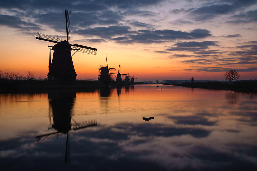 Dutch Colors Photograph by Martin Podt - Fine Art America