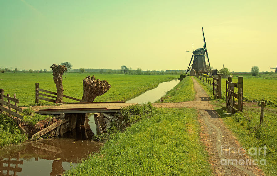 Dutch Countryside Photograph by Ariadna De Raadt