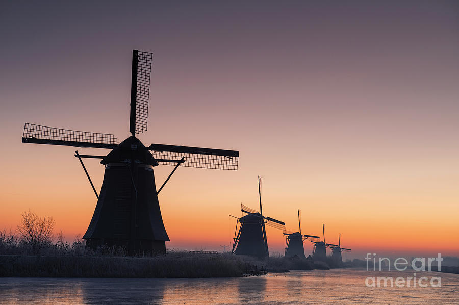 Dutch Dawn Photograph by David Lichtneker
