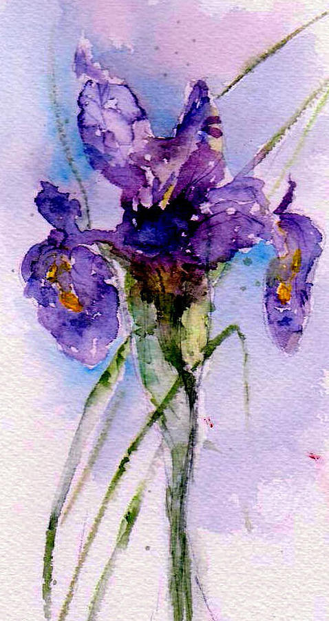 Iris Painting - Dutch Iris by Anne Duke