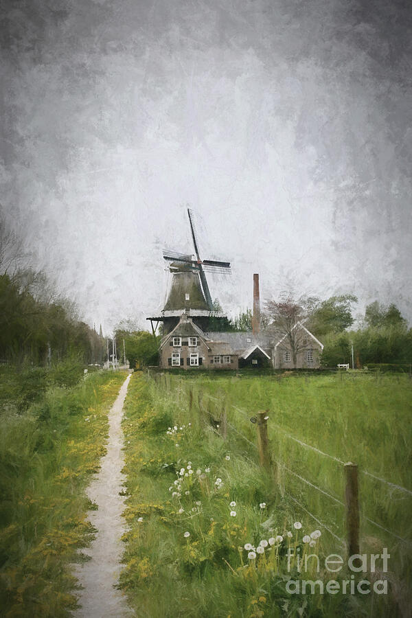 Dutch landscape with mill Photograph by Patricia Hofmeester