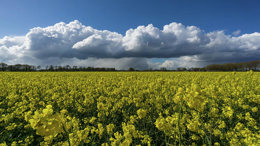 Dutch Skies Photograph By Martin Podt Fine Art America