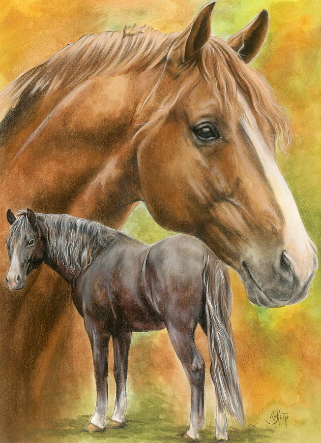 Horse Mixed Media - Dutch Warmblood by Barbara Keith