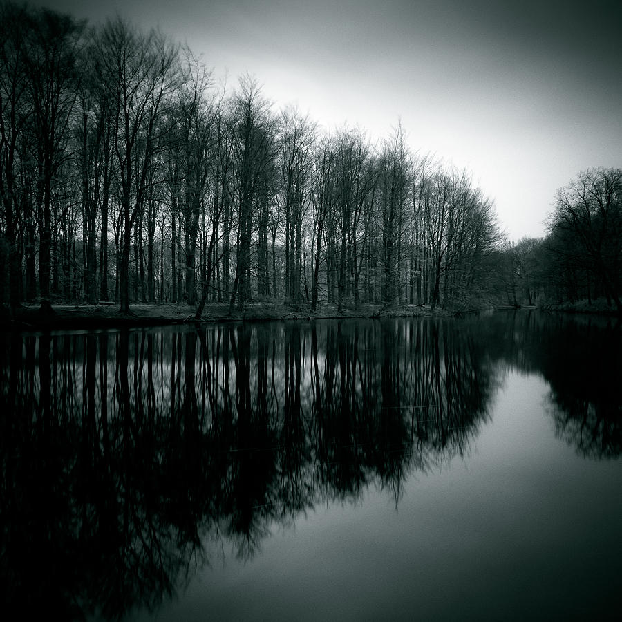 Tree Photograph - Dutch Waters by Dave Bowman
