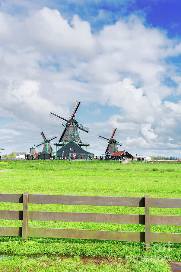 Dutch Wind Mills Photograph by Anastasy Yarmolovich