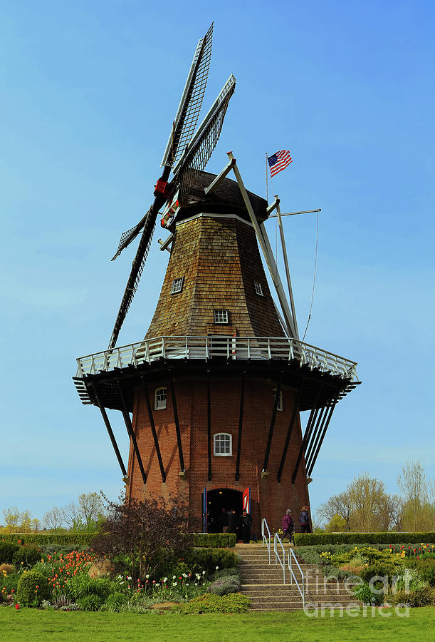 Dutch Windmill Photograph by Rachel Cohen