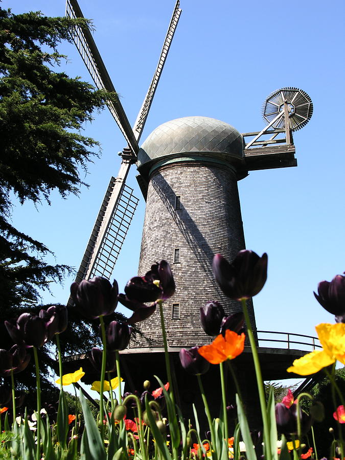 Dutch Windmill San Francisco Photograph by C Thomas Cooney