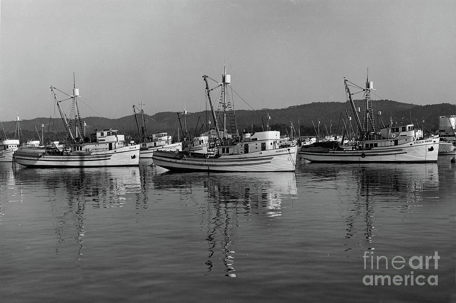Boat Photograph - Dux, Robert B, Stella Maris Purse Seiners at Monterey circa 1950 by Monterey County Historical Society
