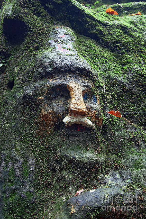 Dwarf covered by moss - old rock relief Photograph by Michal Boubin