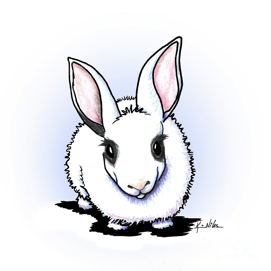 Dwarf Hotot Bunny Rabbit Drawing by Kim Niles aka KiniArt