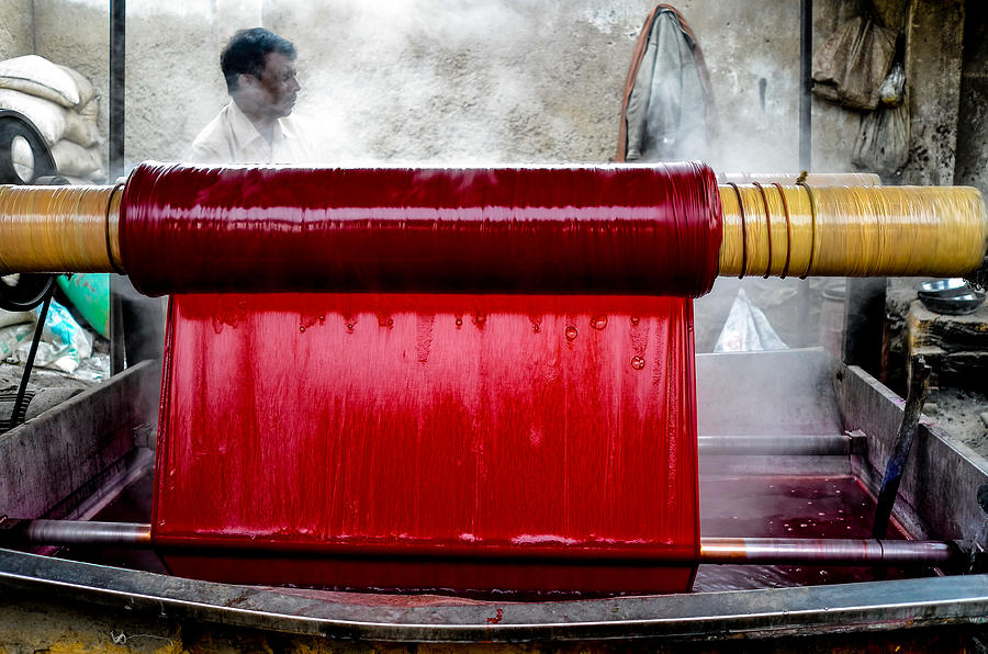 Red Dye Photograph by M G Whittingham