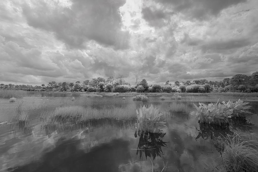 Black And White Photograph - Dyer Pond by Jon Glaser