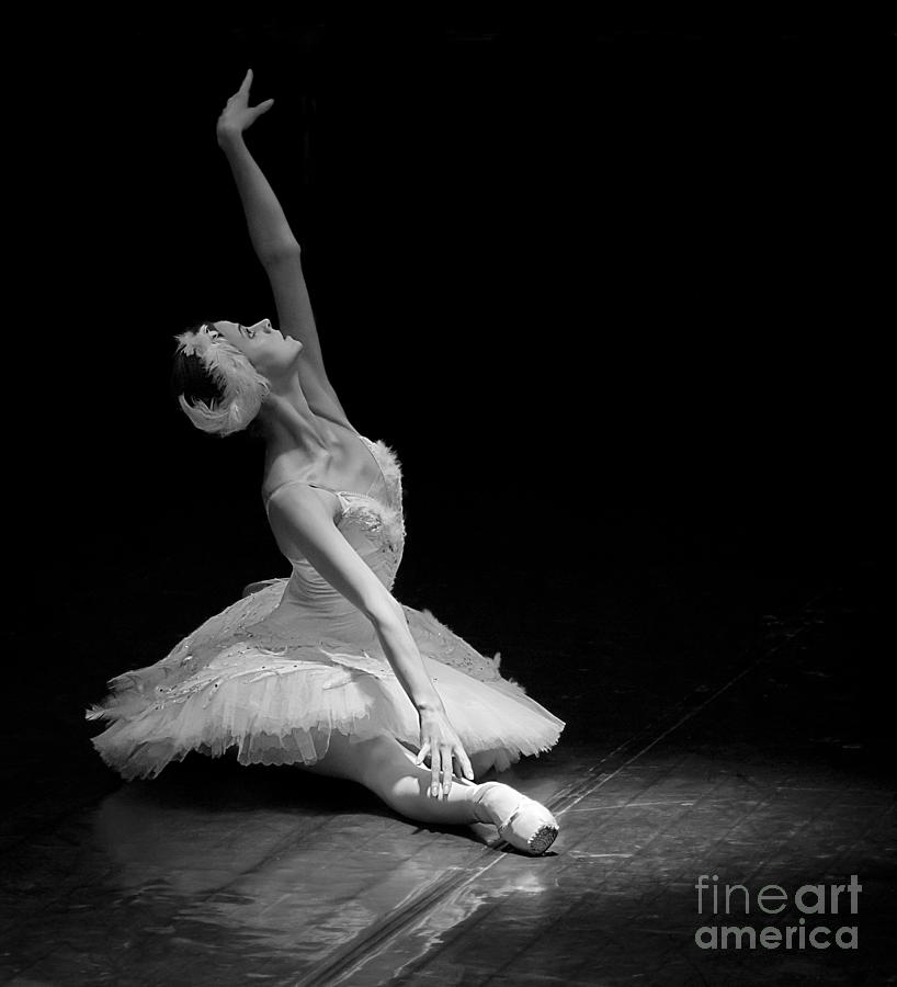 Dying Swan II. Photograph by Clare Bambers