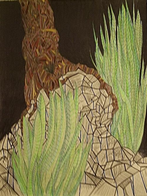 Dying tree Drawing by William Douglas Fine Art America