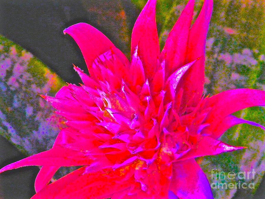Flower Photograph - Dynamic Delivery by Jacqueline Howe