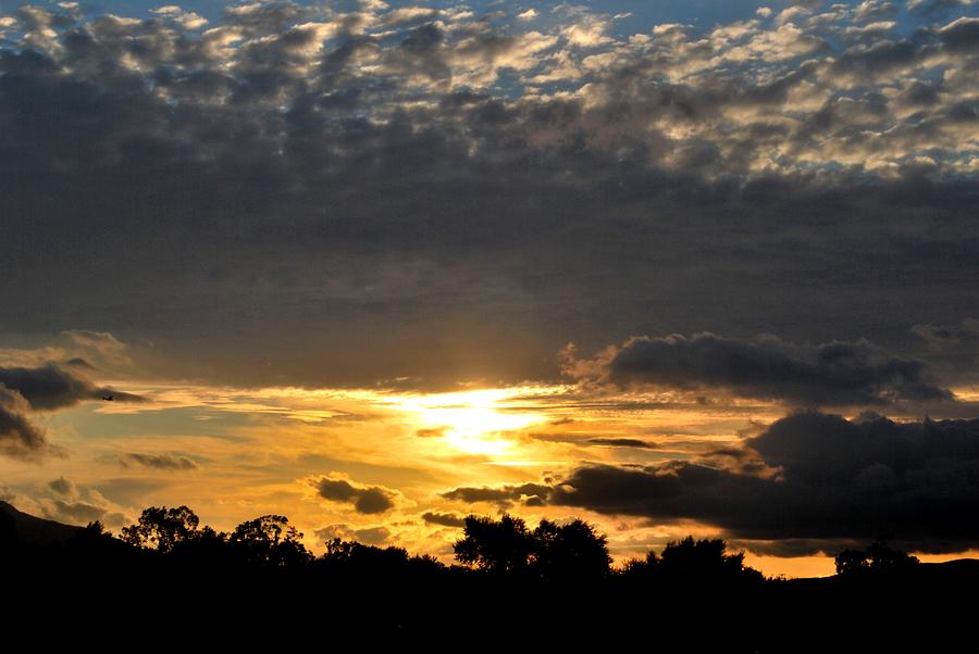 Sunset Photograph - Dynamic Sunset over Distant Horizon Trees by Matt Quest