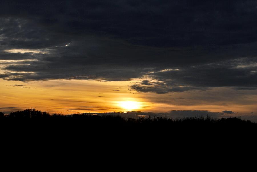 Tree Photograph - Dynamic Sunset Over Field by Matt Quest