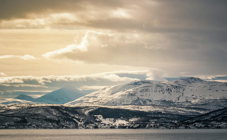 Dyroya Island Norway Photograph by Adam Rainoff