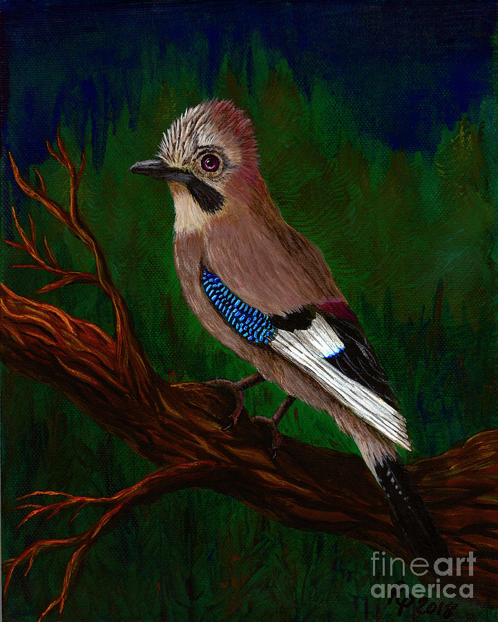 E Jay by Rebecca Parker E Jay by Rebecca Parker
