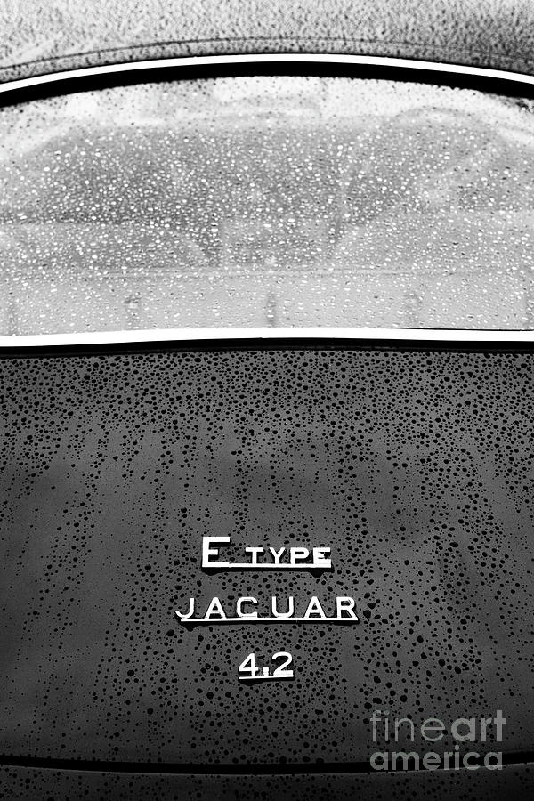 E Type in the Rain Photograph by Tim Gainey