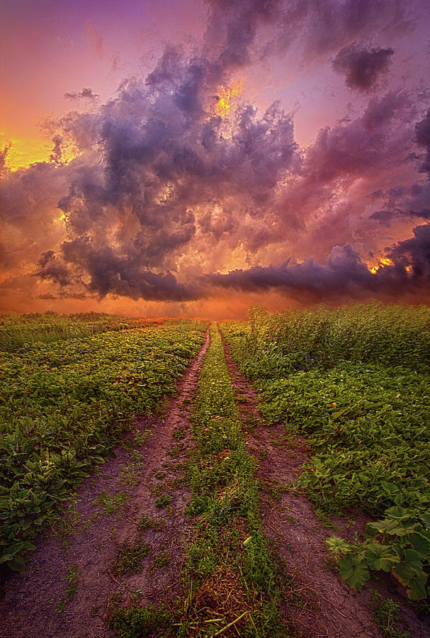 Each Day With A Single Breath Photograph by Phil Koch