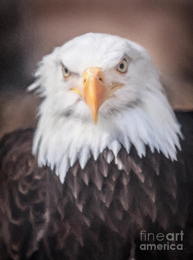 Eagle 01 Painting by David Millenheft