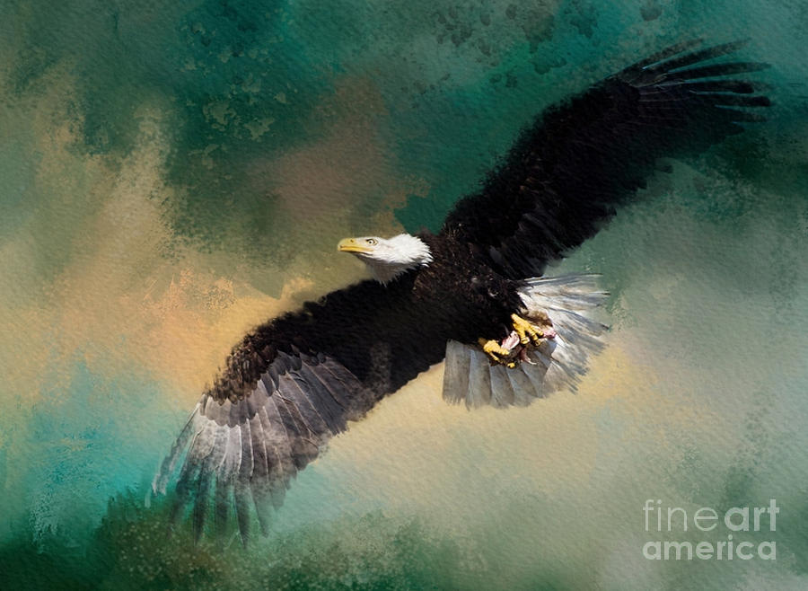 Eagle 1 Mixed Media by Jim Hatch