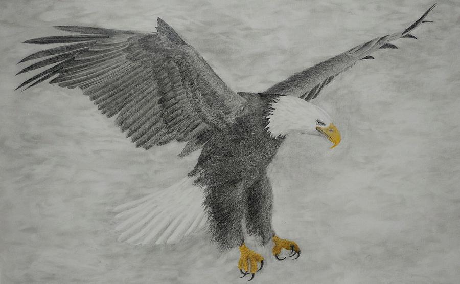 Eye of the Eagle - Zoe C's Art - Drawings & Illustration, Animals, Birds, &  Fish, Birds, Eagles, Bald Eagles - ArtPal