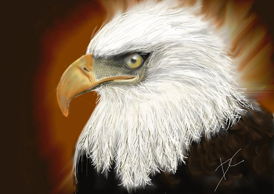 Eagle American Digital Art by Darren Cannell