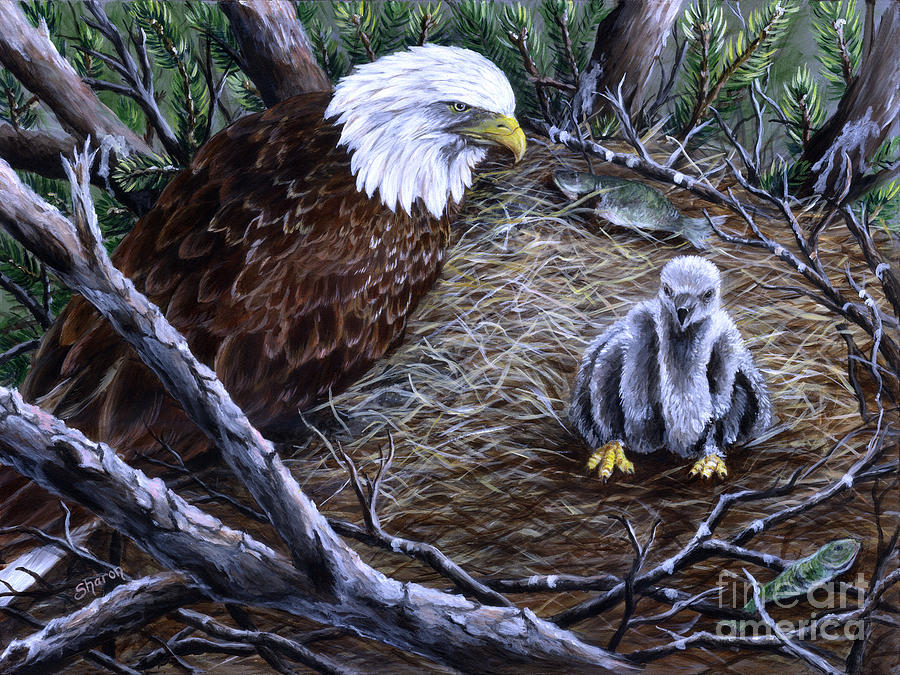Eagle and baby Painting by Sharon Molinaro