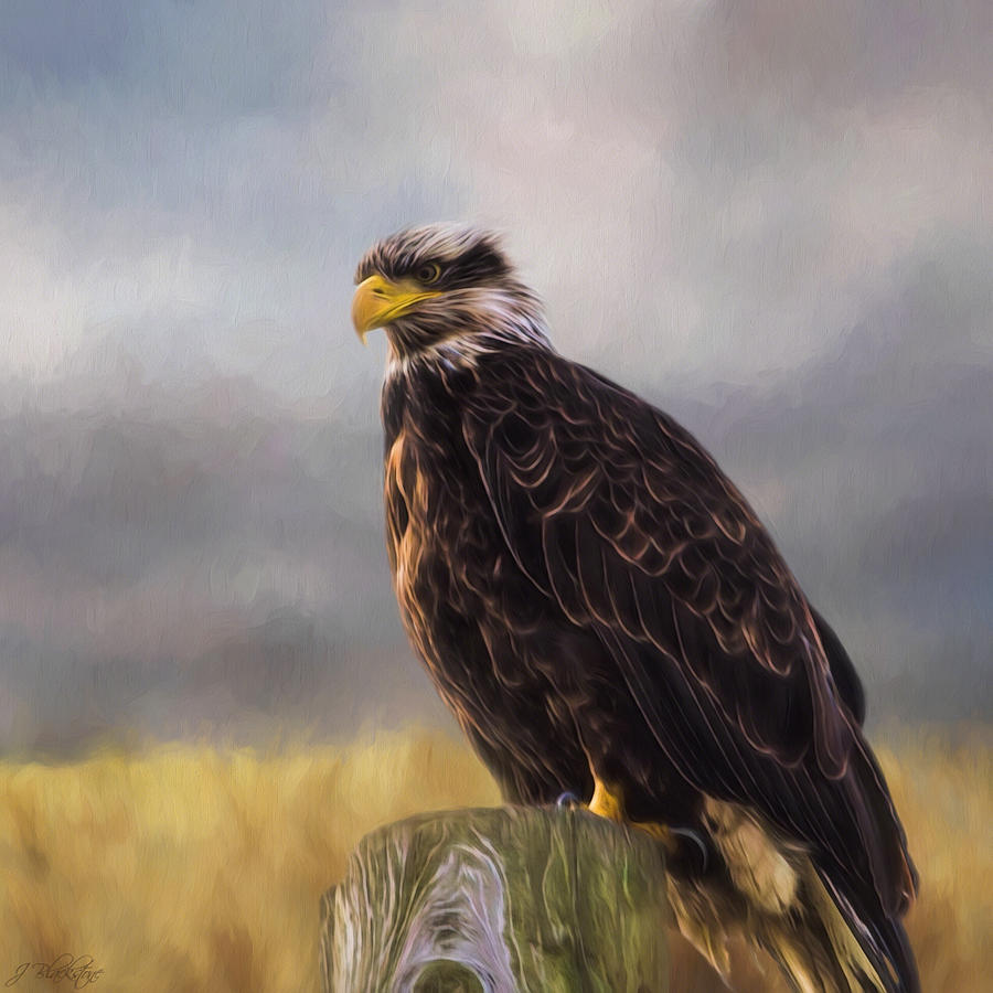 Nature Painting - Eagle Art - Be Who You Are by Jordan Blackstone