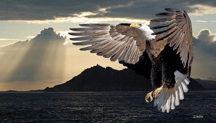 Eagle At Dawn Digital Art by Larry Linton