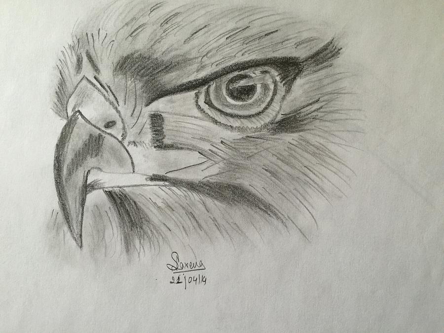 Drawing Hands, buzzard, accipitriformes, vulture, bald Eagle, Griffin,  hawk, Falcon, EAGLE, bird Of Prey | Anyrgb