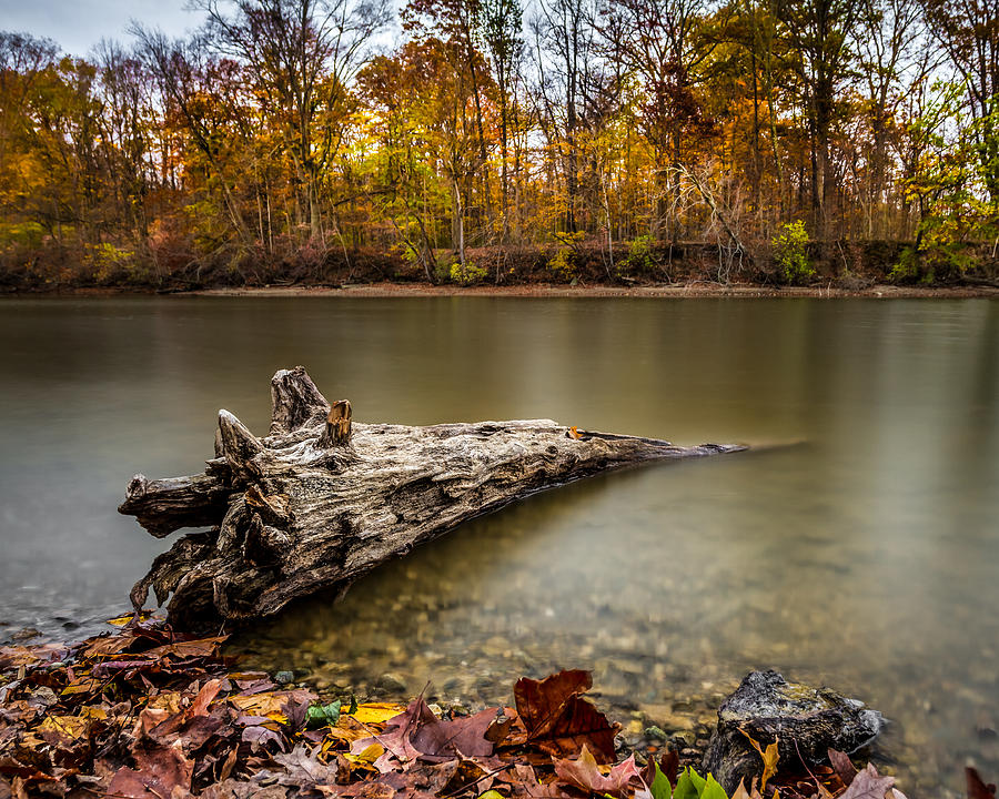 Fall Photograph - Eagle Creek Park by Ron Pate
