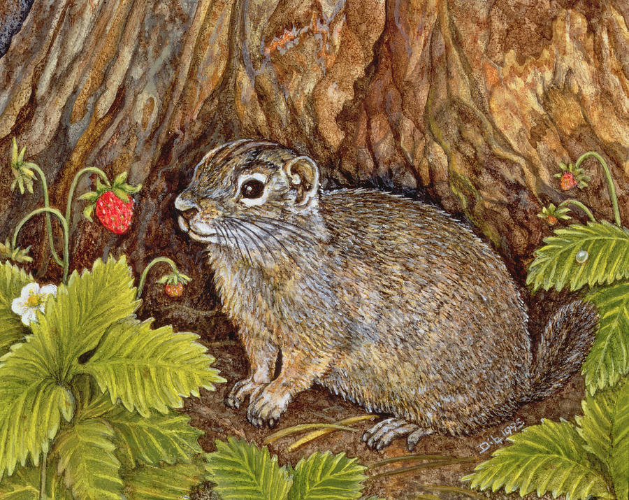 Strawberry Painting - Eagle Creek Wild Strawberry Ground Squirrel by Ditz