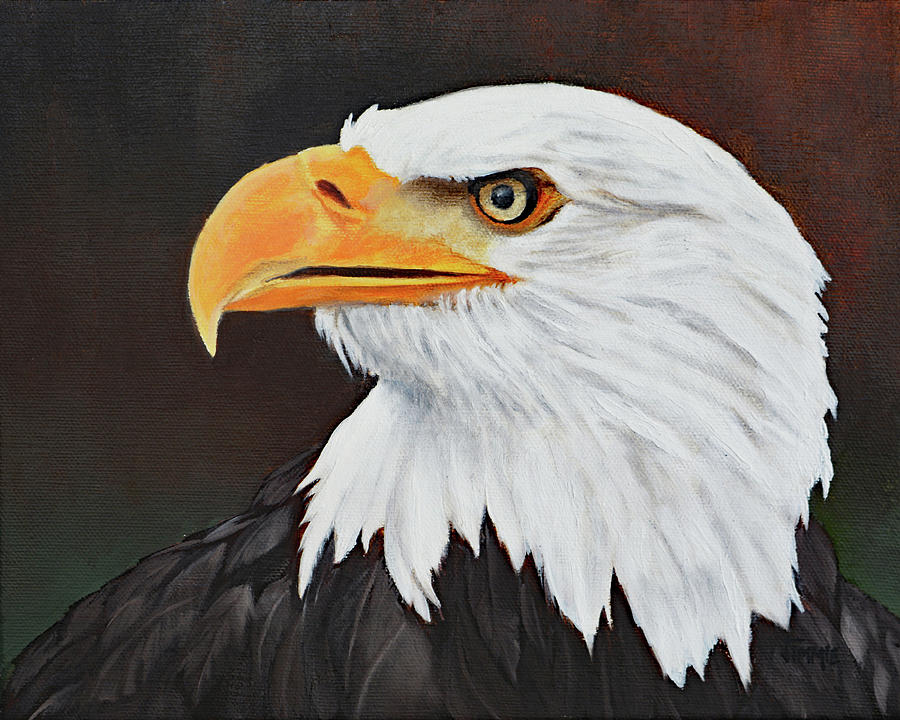 Eagle Eye Painting by Jimmie Bartlett