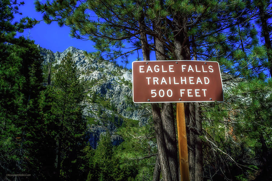 Eagle Falls Trailhead Photograph by LeeAnn McLaneGoetz McLaneGoetzStudioLLCcom