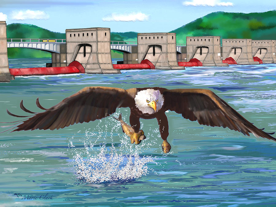 Eagle Fishing At Mississippi River Lock And Dam 5 Painting