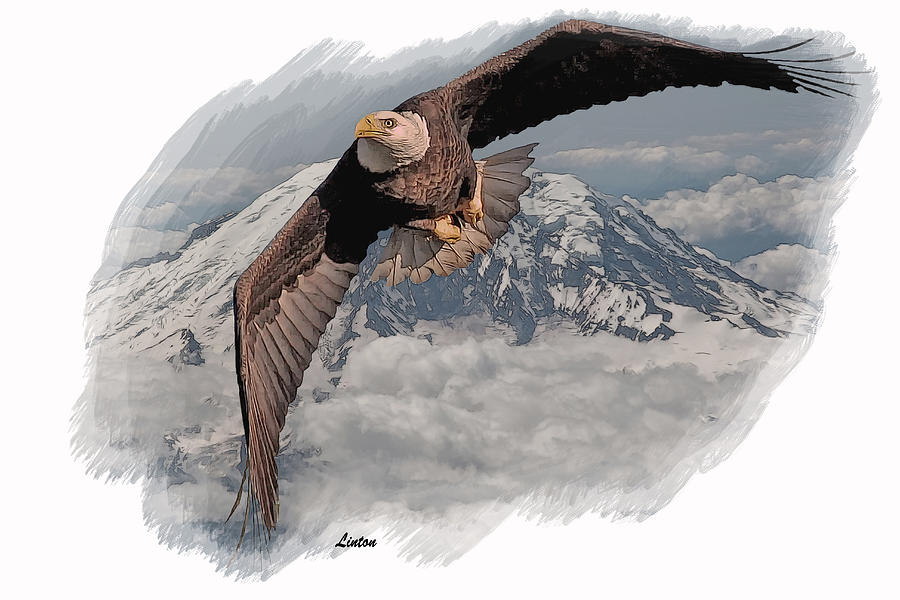 Eagle Flight 6 Digital Art by Larry Linton