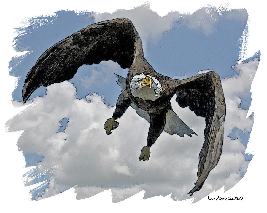 Eagle Flight Digital Art by Larry Linton