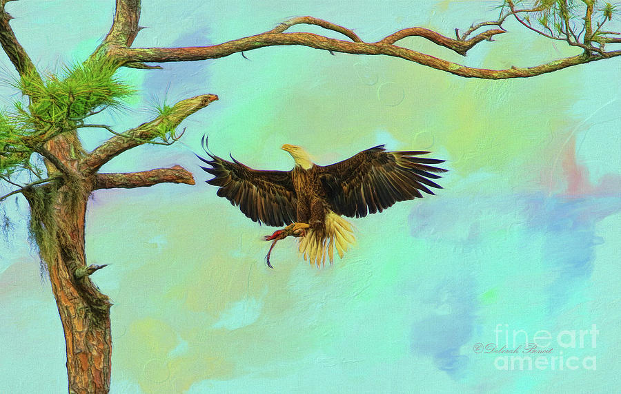 Eagle Painting - Eagle Grace by Deborah Benoit
