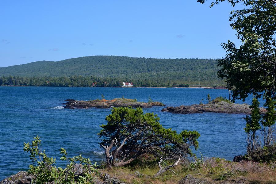 Eagle Harbor Photograph by Keith Stokes