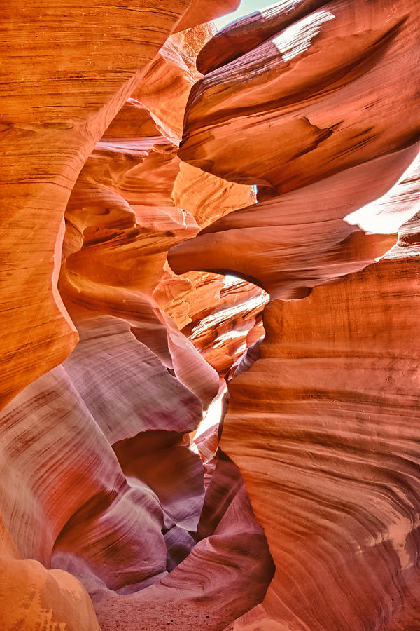 Eagle Head - Antelope Canyon Photograph by Andreas Freund
