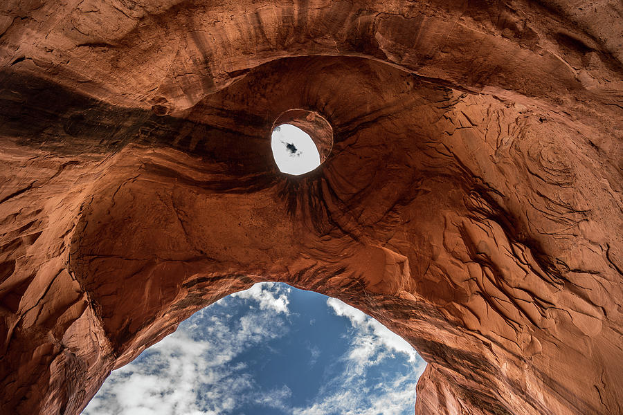 Eagle Photograph - Eagle Head,  Monument Valley by Nana Suzuki