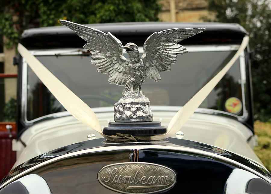 Eagle Hood Ornament on Vintage Sunbeam Automobile by Anita Hiltz