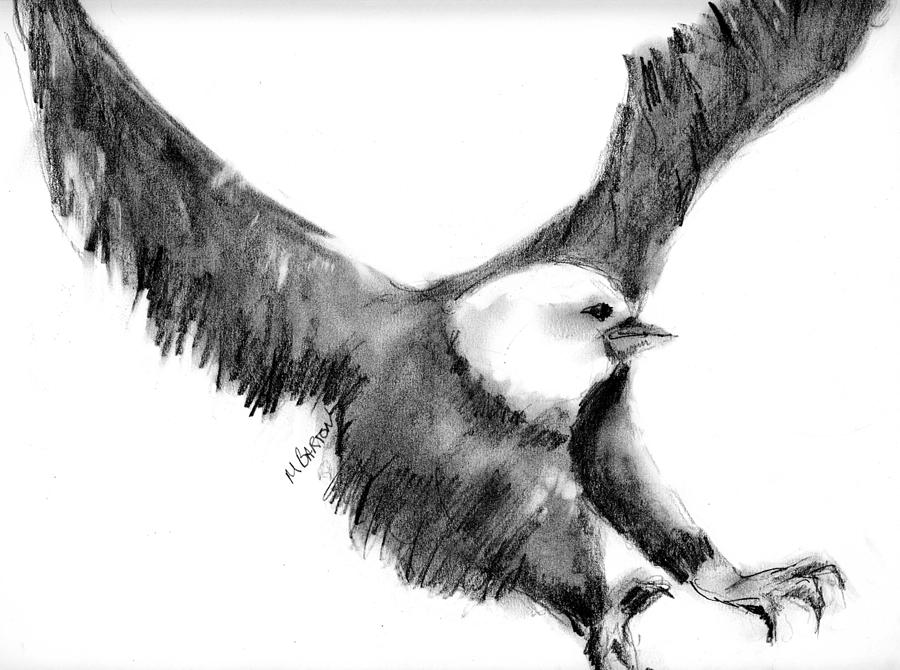 Eagle in Flight Drawing by Marilyn Barton